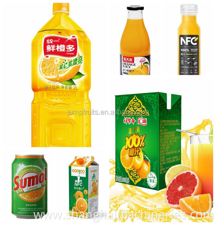 Complete automatic natural fresh fruit juice production line